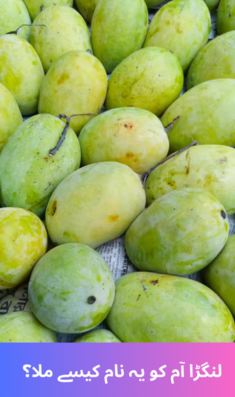 How did the langra mango get its name?